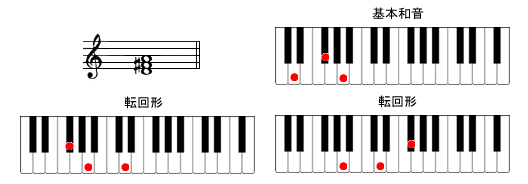 DsAmR[h摜